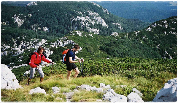 risnjak