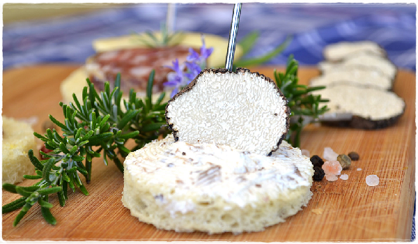 tartufi