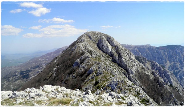 dalmacija