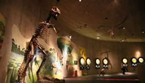 Museum of Krapina Neanderthals